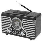 Ritmix RPR-095