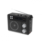 Радиоприемник Ritmix RPR-200 черный
